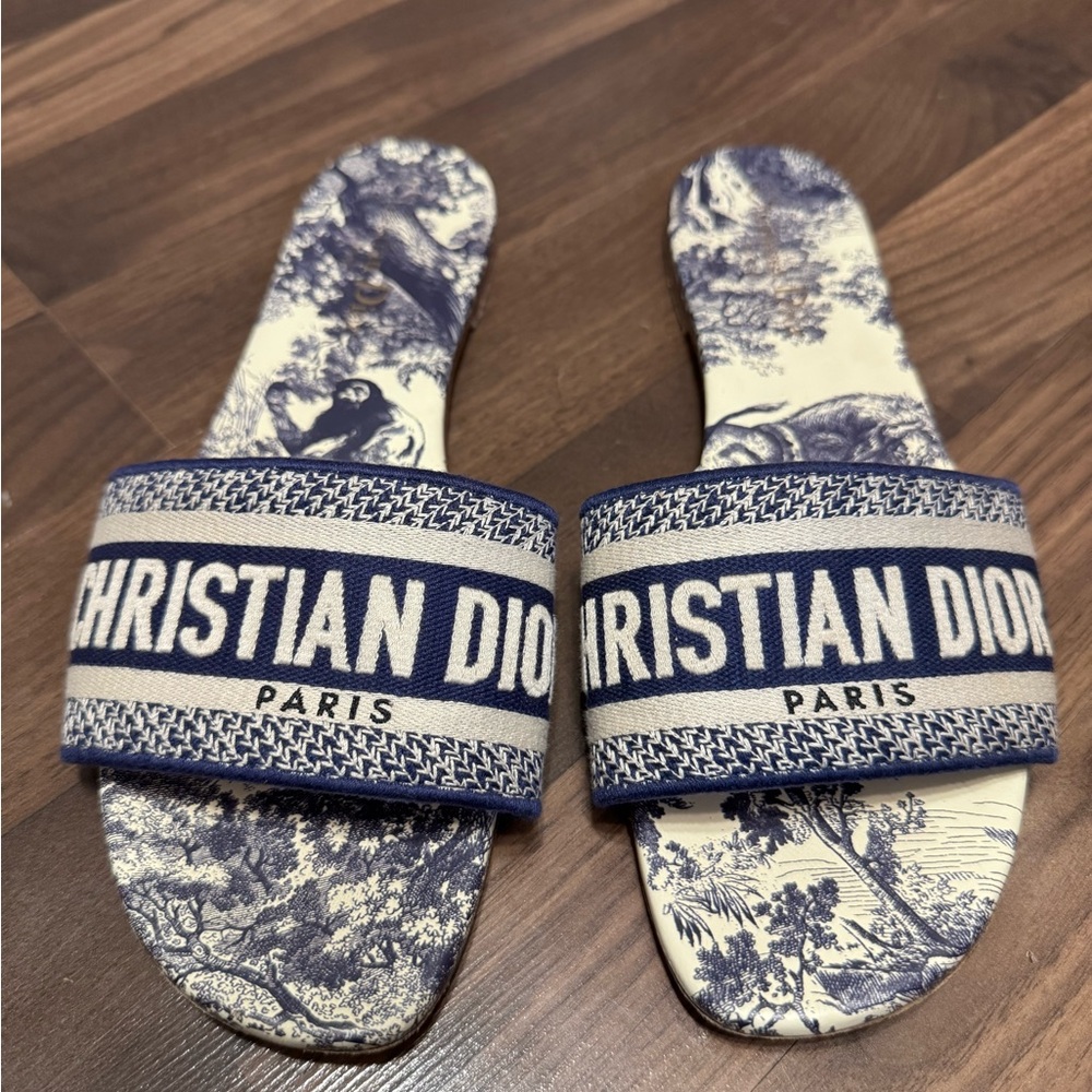 Dior dway slides